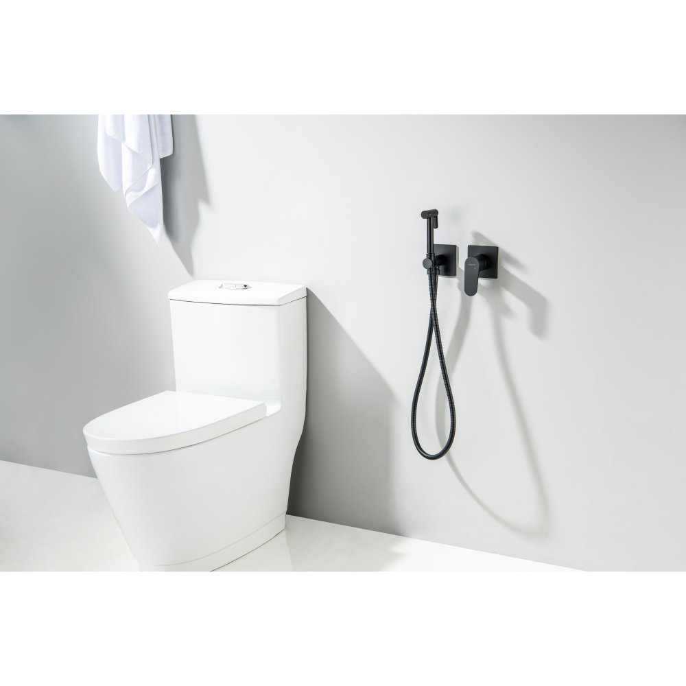 Комплект для гигиенического душа встроенный Aquanet Oberon матовый черный AQ1220MB