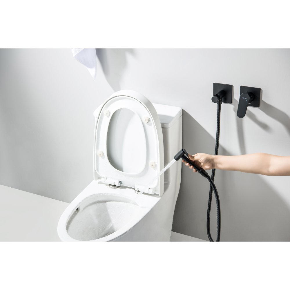 Комплект для гигиенического душа встроенный Aquanet Oberon матовый черный AQ1220MB