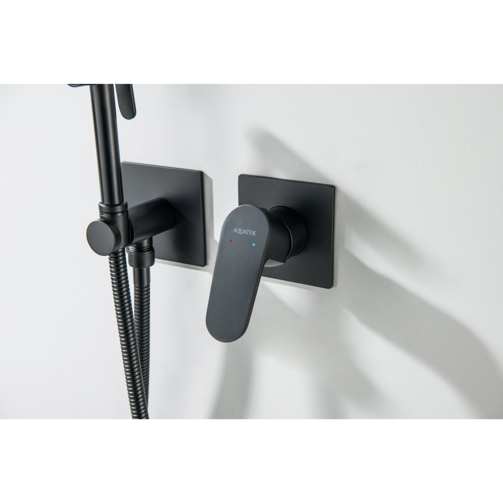 Комплект для гигиенического душа встроенный Aquanet Oberon матовый черный AQ1220MB