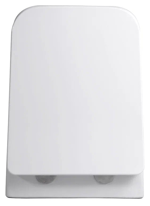 Сиденье для унитаза Aquanet Амадео AQ0101-00