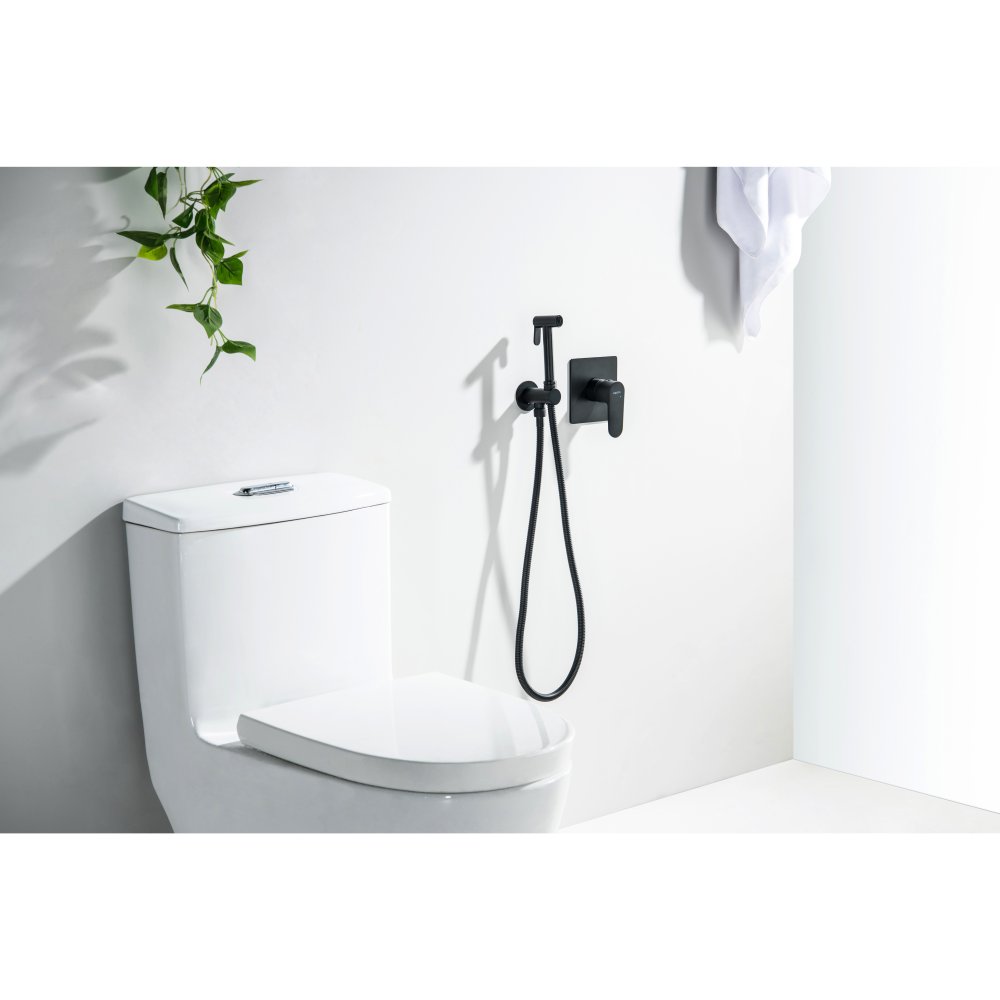 Набор с гигиеническим душем Aquanet Oberon со смесителем матовый черный AQ1219MB