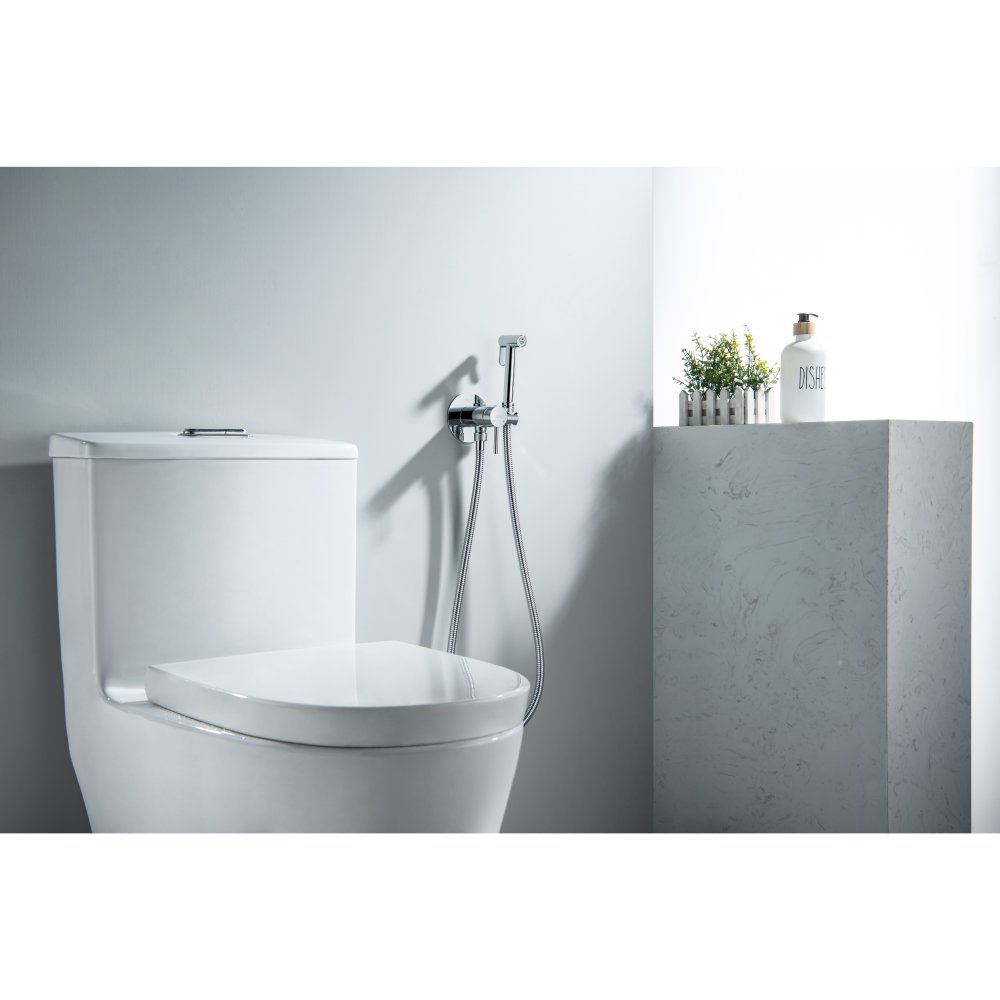 Комплект для гигиенического душа встроенный Aquatek Европа AQ1021CR