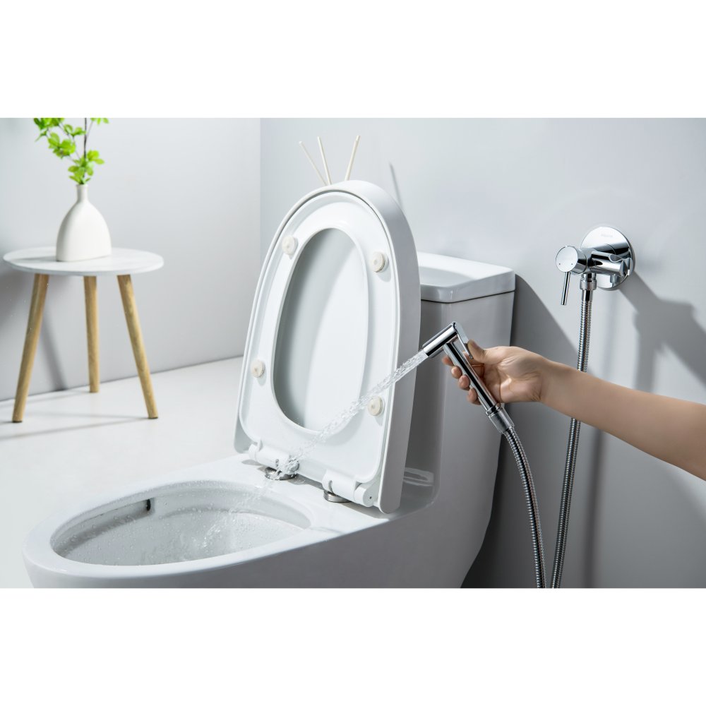 Комплект для гигиенического душа встроенный Aquatek Европа AQ1021CR