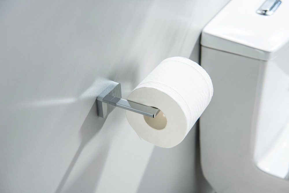 Держатель туалетной бумаги Aquatek Libra хром AQ4308CR