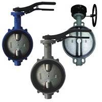 Затвор дисковый поворотный Giacomini DN250 межфланцевый R59WY025