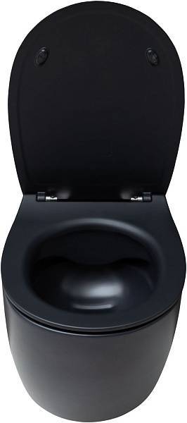 Чаша подвесного унитаза Allen Brau Fantasy черный 4.11004.31