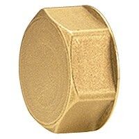 Пробка для коллектора Giacomini R594 1/2 внутренняя резьба R594Y001