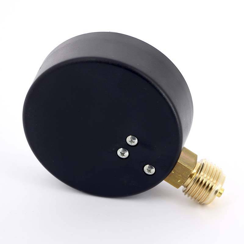 Манометр радиальный Watts F+R200 80 мм 1/2 6 бар 10007790