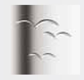 Декоративная вставка Zehnder Take Flight ZDECITF