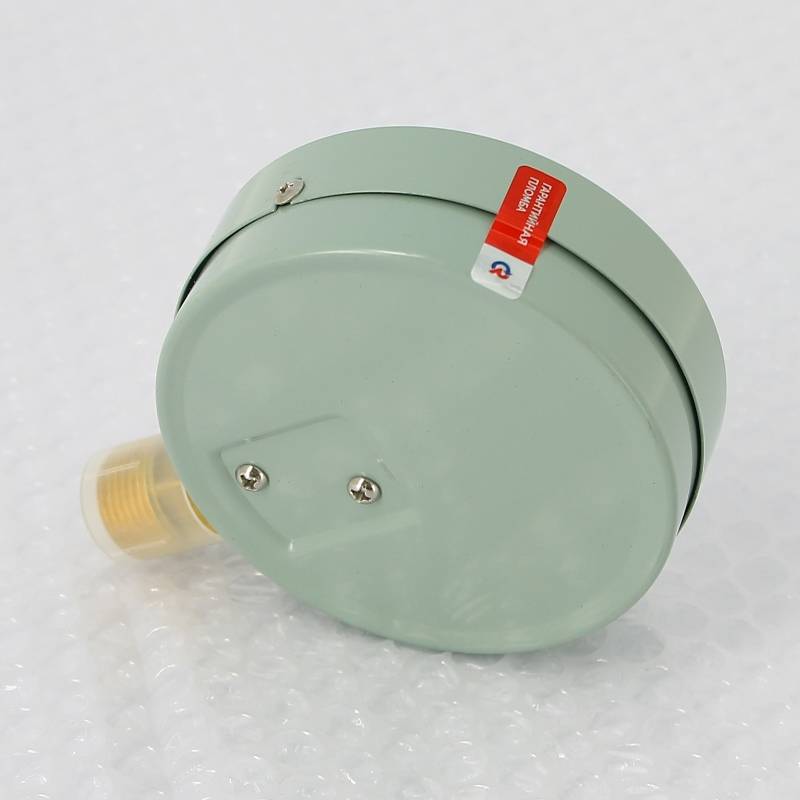 Манометр Росма ТМ-510P.00 M2 100 мм 0-10 бар G1/2 радиальный кл.1.5 00000006819