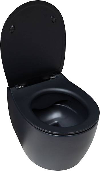 Чаша подвесного унитаза Allen Brau Fantasy черный 4.11004.31