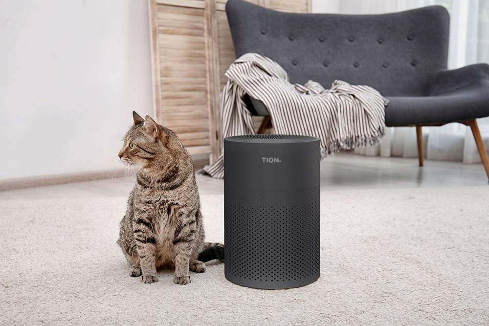 Очиститель воздуха Tion IQ 100 черный IQ 100