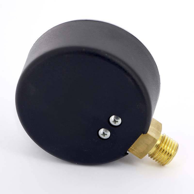 Манометр радиальный Watts F+R200 1/4 25 бар 63 мм 10007726