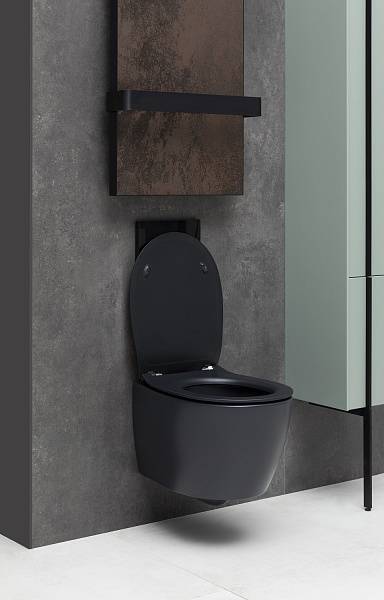 Чаша подвесного унитаза Allen Brau Fantasy черный 4.11004.31