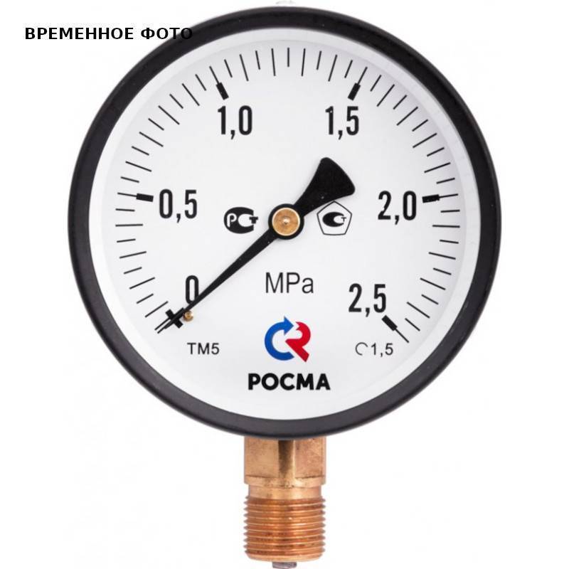 Манометр Росма ТМ-510Р.00 100 мм 0-0.06 МПа G1/2 радиальный 00000013503