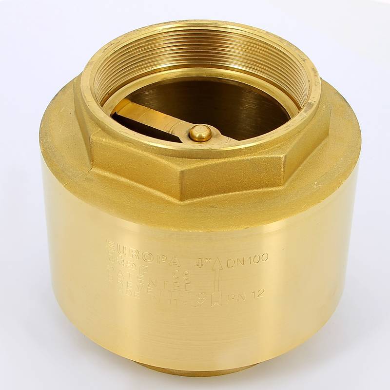 Клапан обратный пружинный ITAP EUROPA 4 с металлическим затвором 100 4