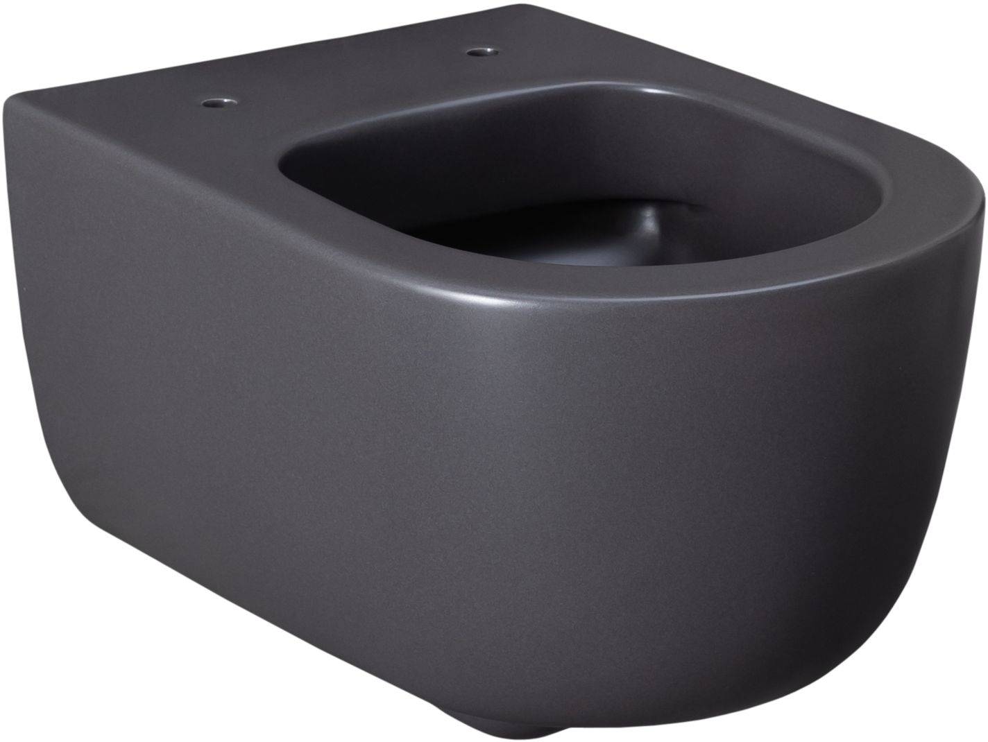 Чаша подвесного унитаза Allen Brau Priority 36х49х33 см серый 4.31002.AN