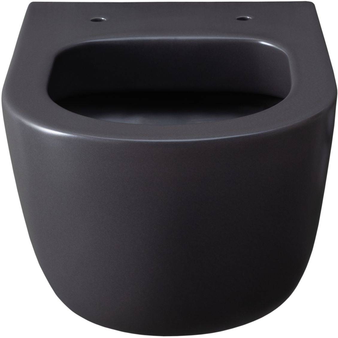 Чаша подвесного унитаза Allen Brau Priority 36х49х33 см серый 4.31002.AN