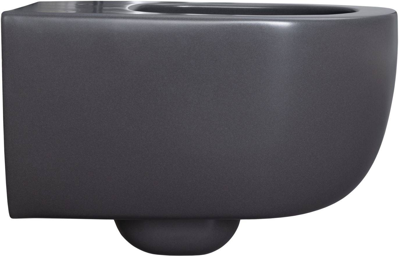 Чаша подвесного унитаза Allen Brau Priority 36х49х33 см серый 4.31002.AN