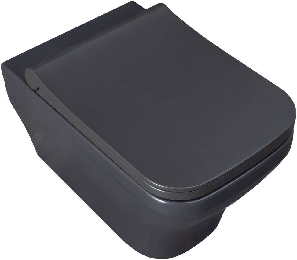 Чаша подвесного унитаза Allen Brau Infinity 34x53.5x35.5 см серый 4.21011.AN