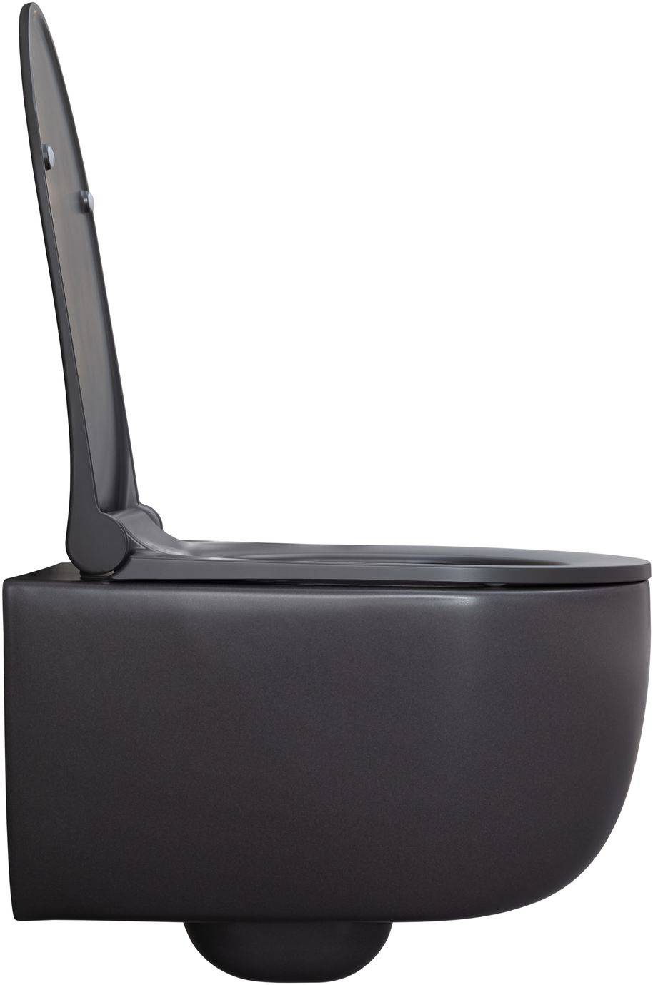 Чаша подвесного унитаза Allen Brau Priority 36х49х33 см серый 4.31002.AN