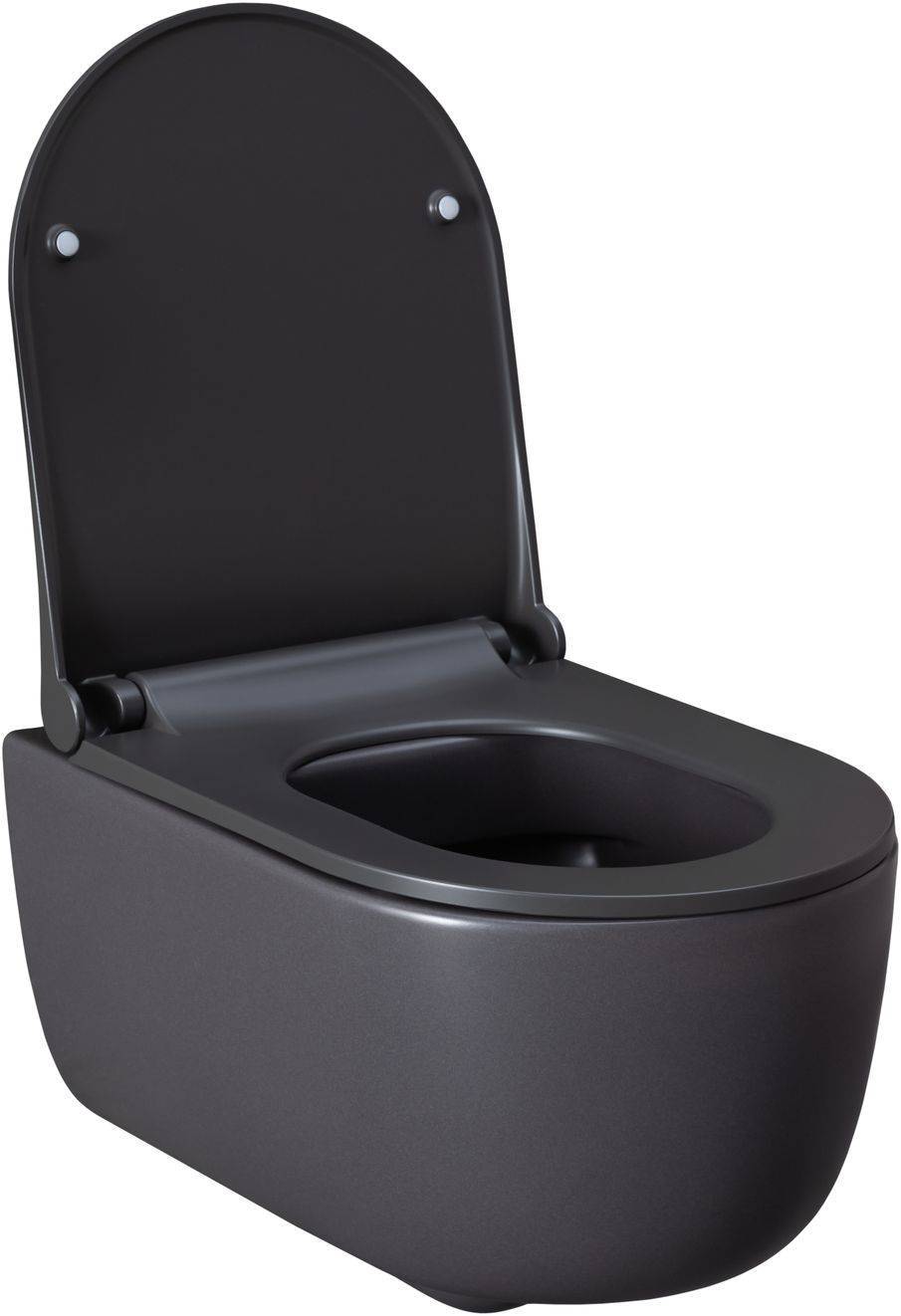 Чаша подвесного унитаза Allen Brau Priority 36х49х33 см серый 4.31002.AN