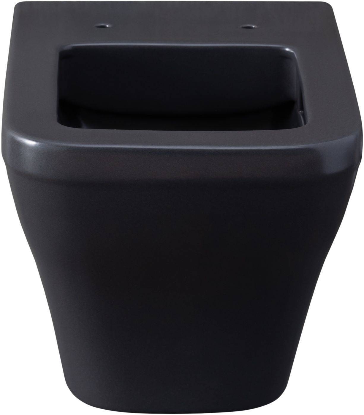 Чаша подвесного унитаза Allen Brau Infinity 34x53.5x35.5 см серый 4.21011.AN