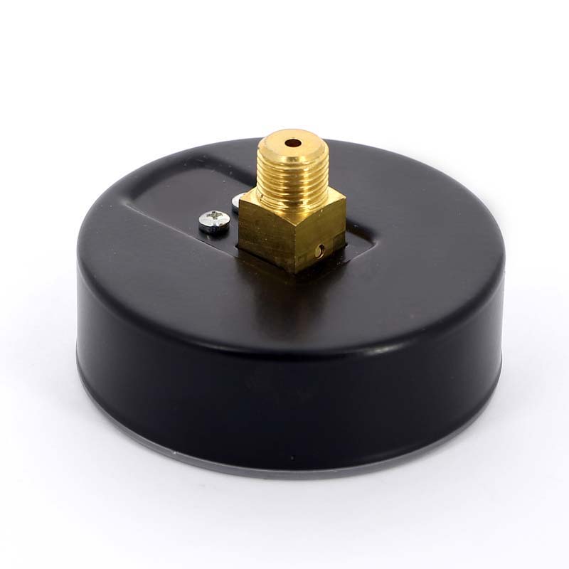 Манометр аксиальный Watts F+R100 6 бар 80 мм 1/4 10008023