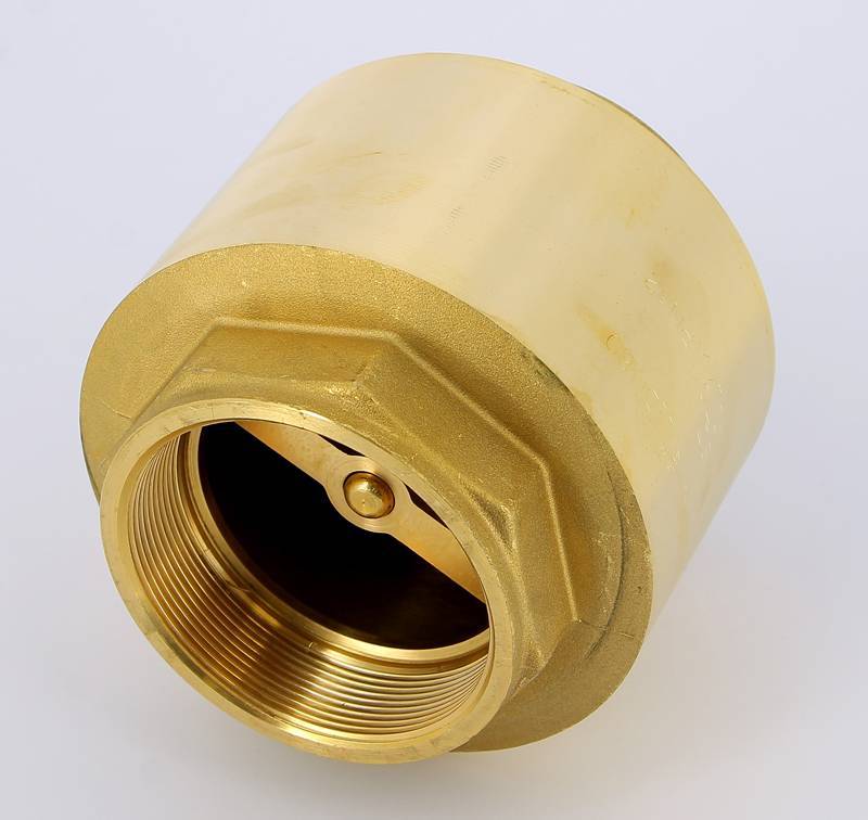 Клапан обратный пружинный ITAP EUROPA 3 с металлическим затвором 100 3