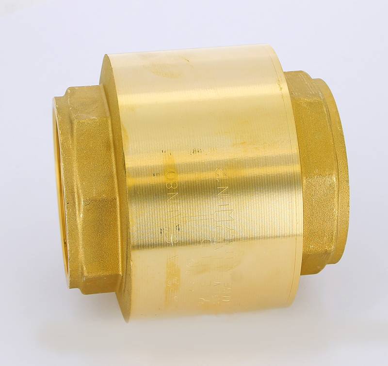 Клапан обратный пружинный ITAP EUROPA 3 с металлическим затвором 100 3