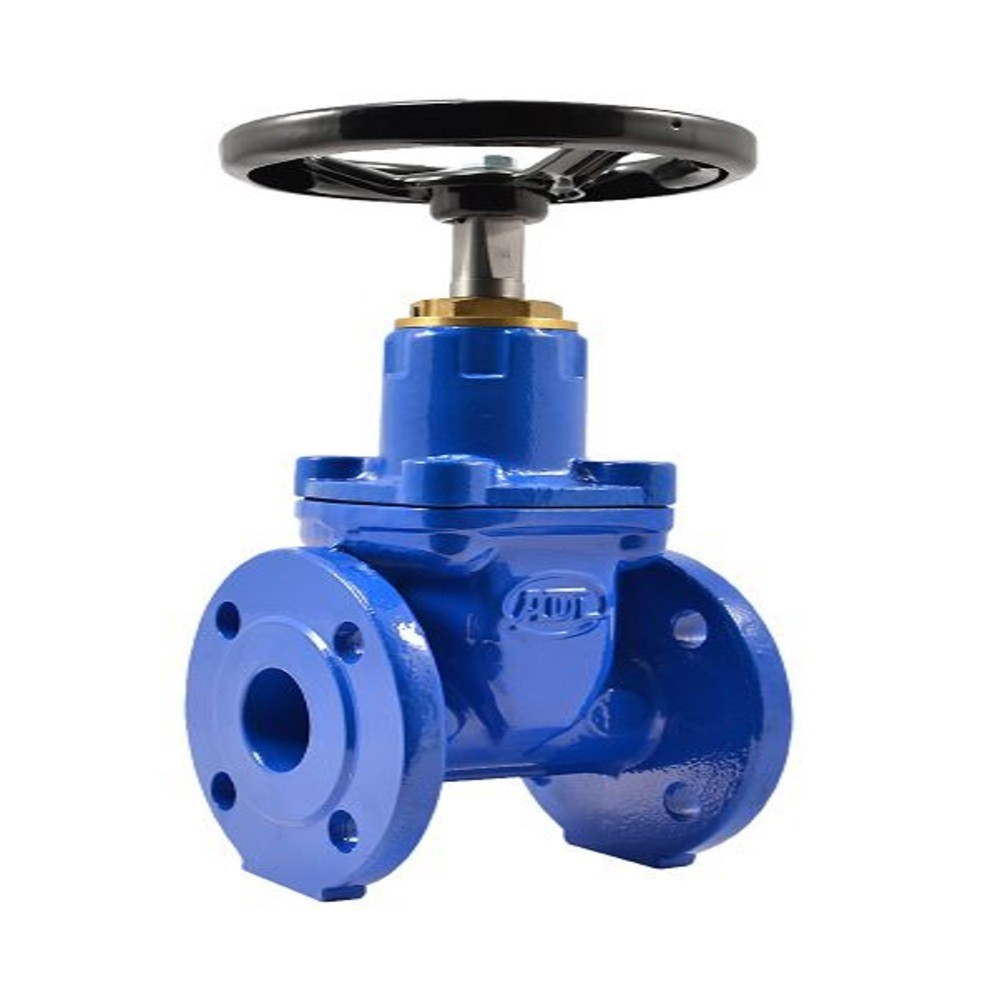 Задвижка чугунная ADL Гранар KR11 DN 50 PN 10/16 CV01F99852