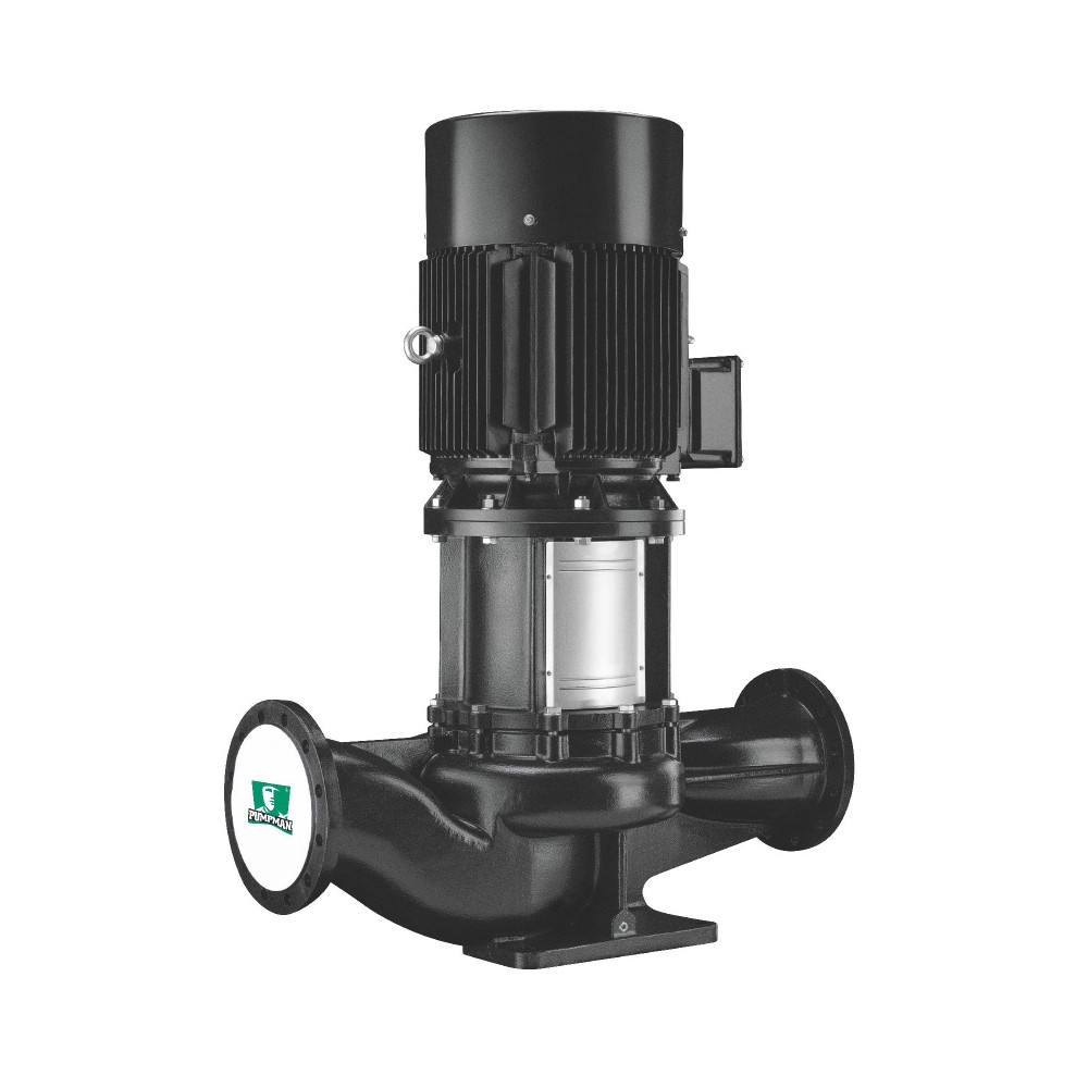 Насос циркуляционный Pumpman TD50-15G/2 с сухим ротором TD50-15G/2