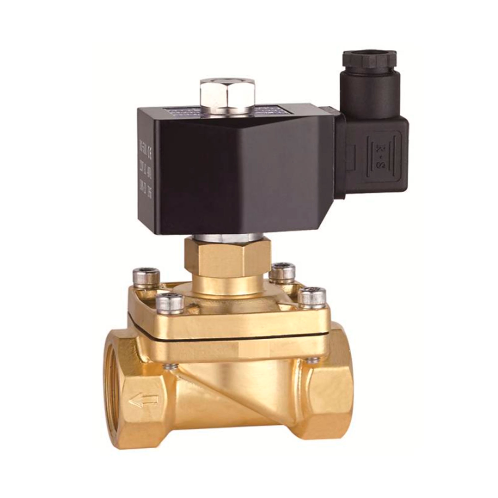 Клапан электромагнитный Ридан EV252WR G 1 EPDM нормально закрытый 220 В 032U5705R