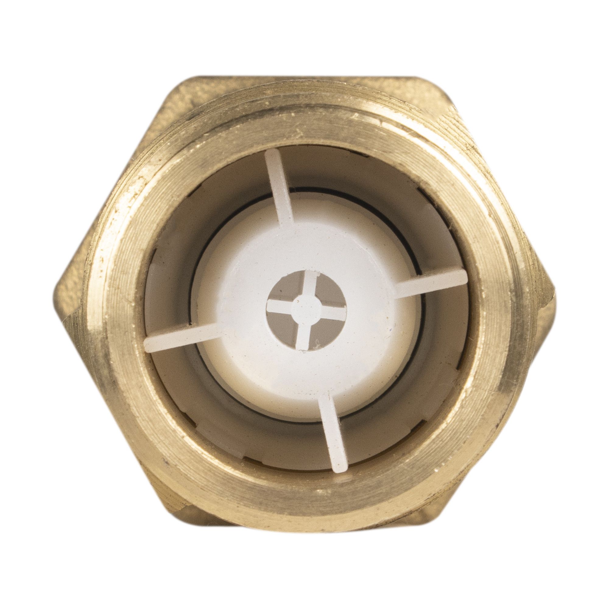 Клапан обратный Electrolux AXIOmatic Proff 30230400100115