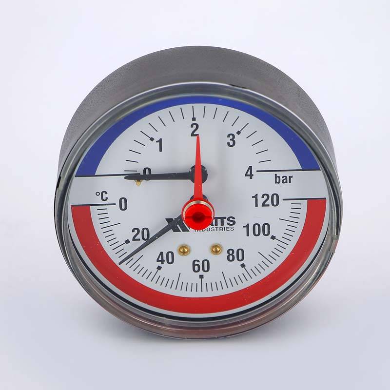 Термоманометр аксиальный Watts F+R 818 4 бар 120 °C 1/2 10009464