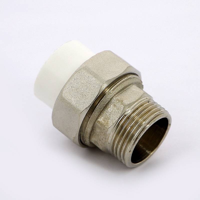 Муфта комбинированная разборная Pro Aqua 20x3/4 НР PA21010