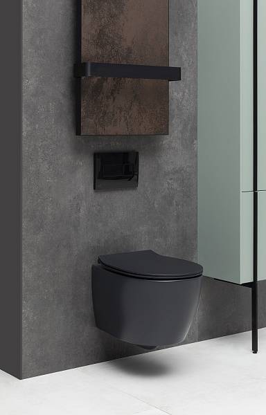 Чаша подвесного унитаза Allen Brau Fantasy черный 4.11004.31