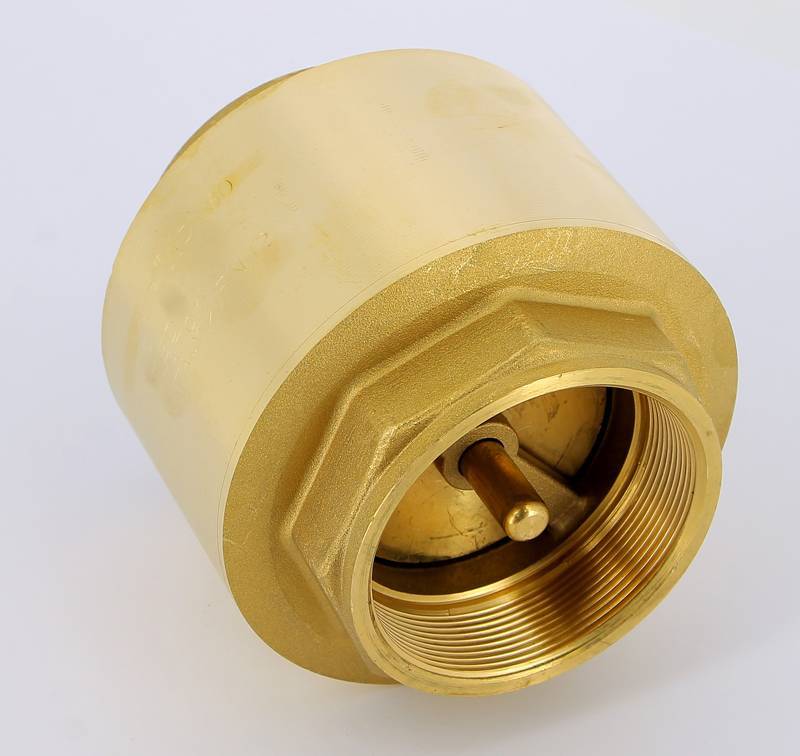 Клапан обратный пружинный ITAP EUROPA 3 с металлическим затвором 100 3