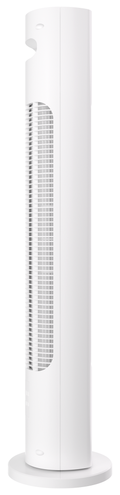 Вентилятор колонный ROYAL Clima RBF-801E-WT