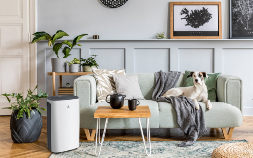 Осушитель воздуха ROYAL CLIMA CARISMA Loft 20 л/сутки RD-CR20-E