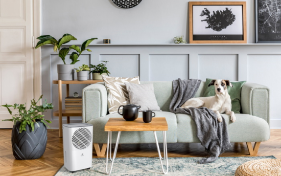 Осушитель воздуха ROYAL CLIMA CARISMA Studio 10 л/сутки RD-CR10-E