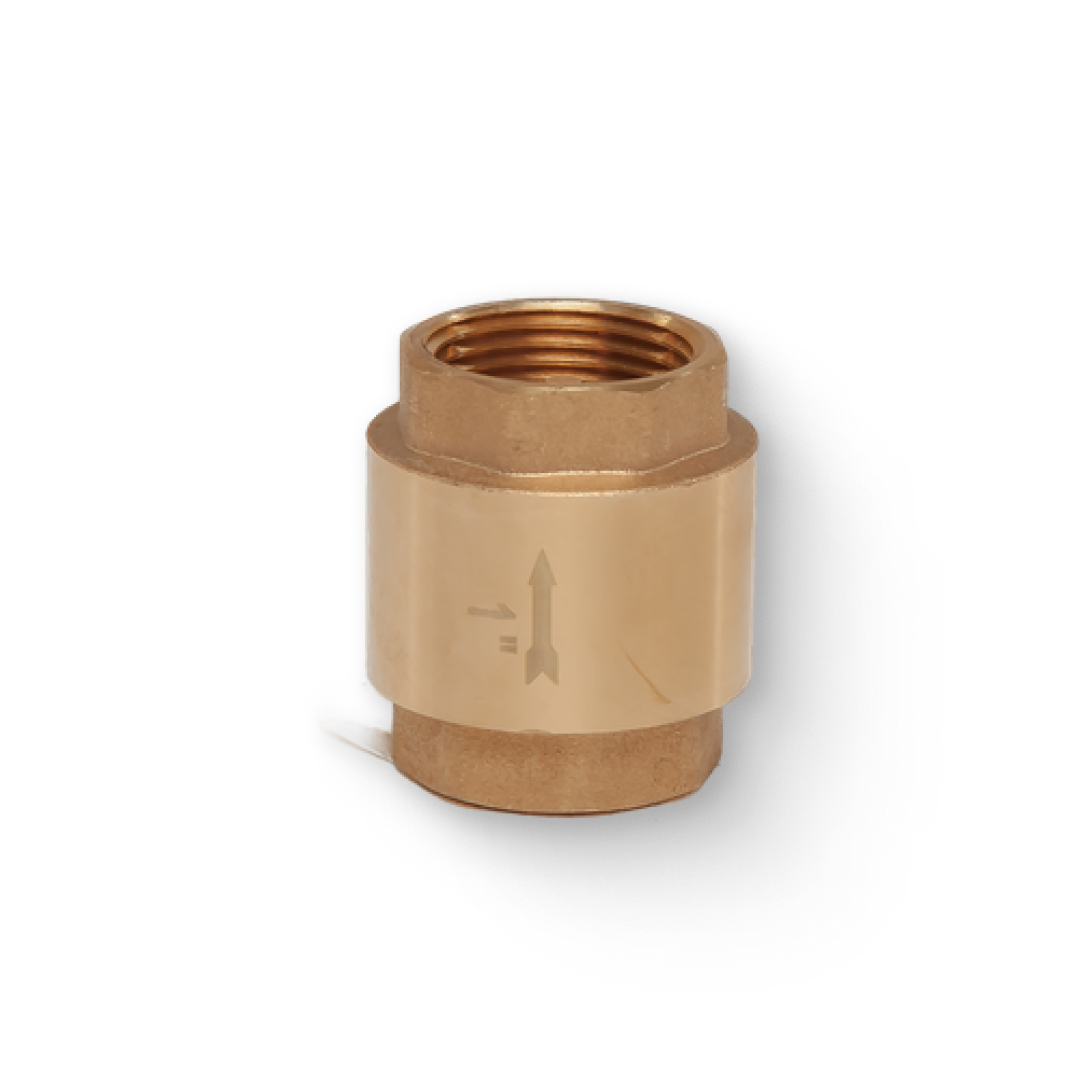 Клапан обратный ВВ 1 пружинный с латунным затвором