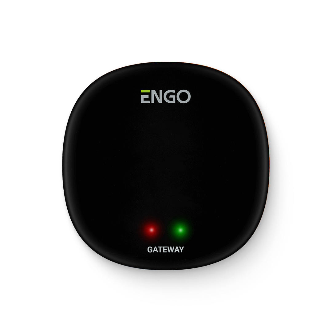 Универсальный интернет шлюз Zigbee для ENGO Smart