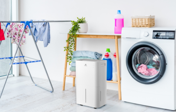 Осушитель воздуха ROYAL CLIMA PACIFIC Loft 25 л/сутки RD-PC25-E