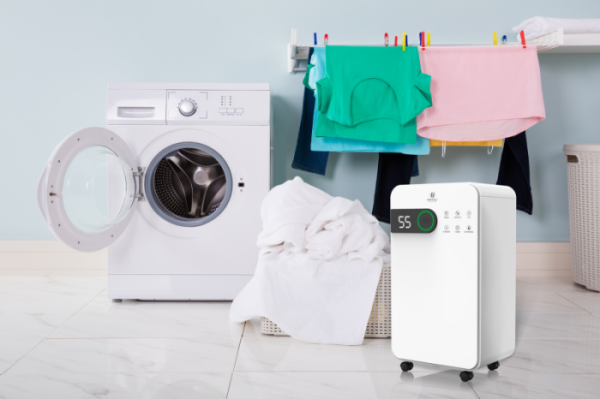 Осушитель воздуха ROYAL CLIMA PACIFIC Studio 12 л/сутки RD-PC12-EW